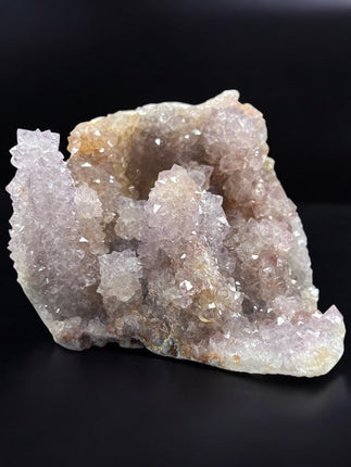 Flower_Amethyst_6_N Sandusky_St _Delaware_OH _43015