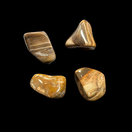 Petrified Wood Tumble - Getting Unstuck - Raven's Cauldron