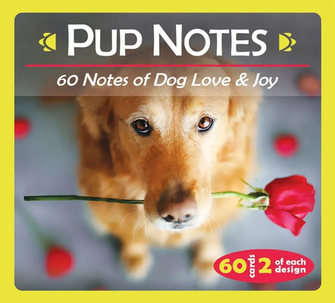 Pup_Notes_6_N Sandusky_St _Delaware_OH _43015