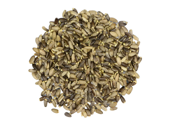 Milk Thistle Seed - Raven's Cauldron
