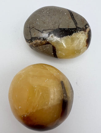 Septarian palm stone - Raven's Cauldron