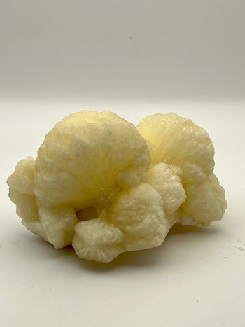 apophyllite Cluster Raven's Cauldron 6 N Sandusky St Delaware Ohio 43015