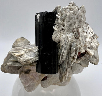 Tourmaline Crystals - Black, Pink, Green & Tourmalinated Quartz Collection