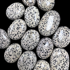 Collection image for: Dalmatian Jasper Crystals Collection