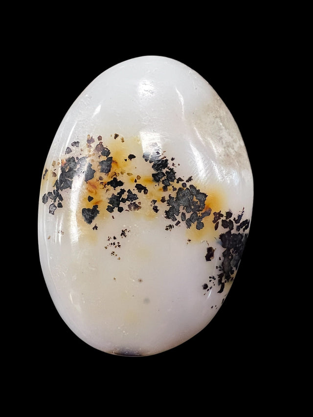 Dendritic Agate Crystals