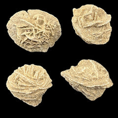Collection image for: Desert Rose Crystals - Clarity & Grounded Insight Collection