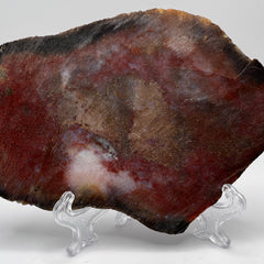 Collection image for: Petrified Wood Crystals & Fossils - Grounding Stones Collection