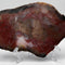 Petrified Wood Crystals & Fossils - Grounding Stones Collection