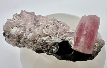 Pink Tourmaline Crystals - Love & Emotional Healing Collection