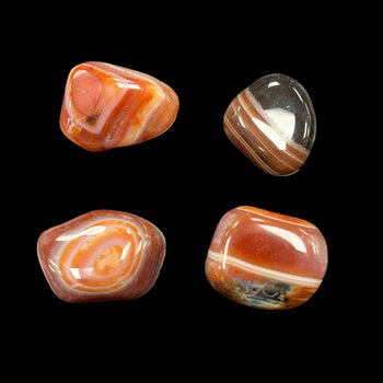 Sardonyx Crystals - Strength, Protection & Confidence Collection
