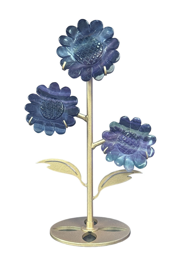 Blue Fluorite Crystals – Communication, Clarity & Focus