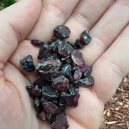 1 ounce Red Garnet Chips - Raven's Cauldron 6 N Sandusky St. Delware, OH 43015
