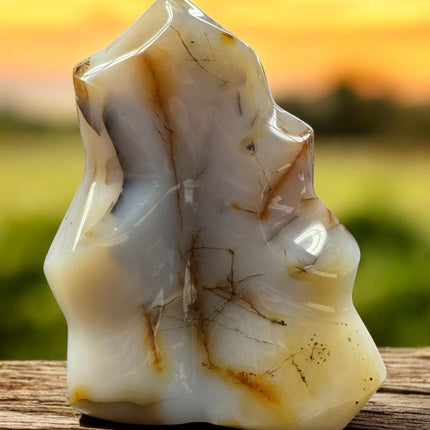 Botswana Dendritic Agate Hand Carved Flame - 6 N Sandusky St. Delaware, OH 43015