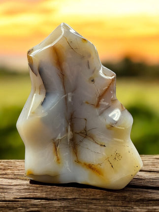 Botswana Dendritic Agate Hand Carved Flame - 6 N Sandusky St. Delaware, OH 43015