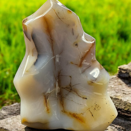 Botswana Dendritic Agate Hand Carved Flame - 6 N Sandusky St. Delaware, OH 43015