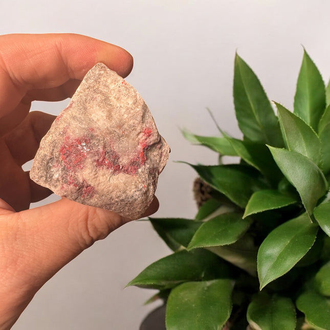 132g Cinnabar rough with vibrant ruby red crystals – Raven’s Cauldron, 6 N Sandusky St, Delaware, OH 43015