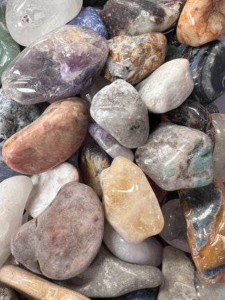 Assorted Palm Stones from the Raven's Cauldron, 6 N Sandusky St, Delaware, OH 43015