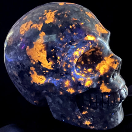750g Yooperlite crystal skull glowing under UV blacklight – Raven’s Cauldron, 6 N Sandusky St, Delaware, OH 43015