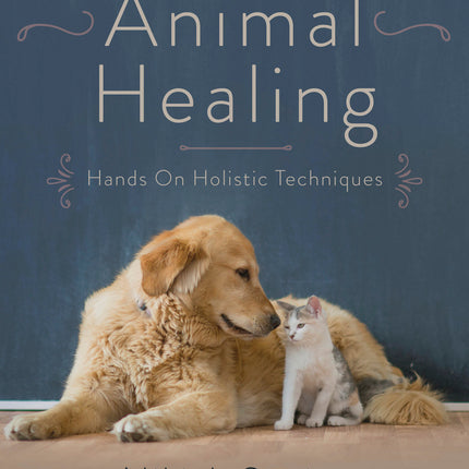 Animal Healing book by Niki J. Senior holistic pet energy healing guide cover Raven’s Cauldron, Delaware, OH