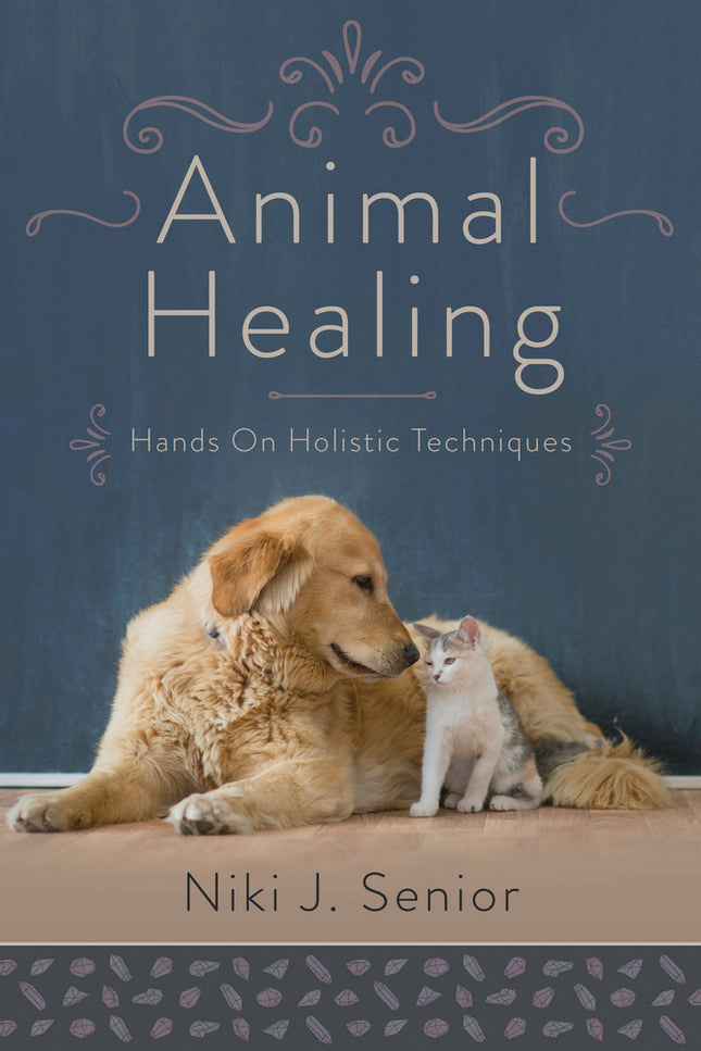 Animal Healing book by Niki J. Senior holistic pet energy healing guide cover Raven’s Cauldron, Delaware, OH