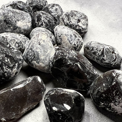 Natural Apache Tears Obsidian crystal polished volcanic glass protection stone for grounding and emotional healing from Raven’s Cauldron, Delaware, OH