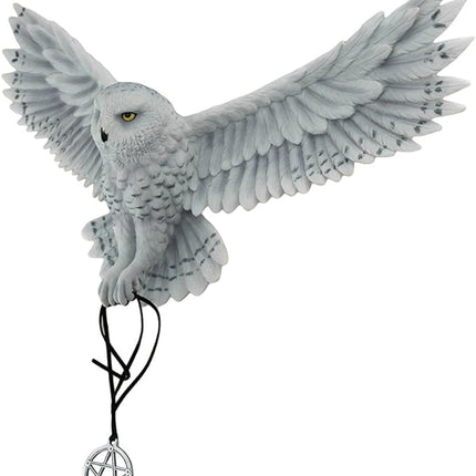 Awaken Your Magic by Anne Stokes Flying Owl Wall Sculpture by Veronese Design - Raven's Cauldron