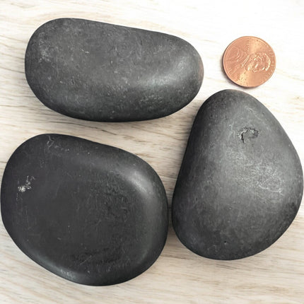 Basalt palm stones, Raven's Cauldron, 6 N Sandusky St, Delaware, OH 43015