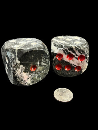 Black Zebra Jasper Dice - 6 Sided - Raven's Cauldron