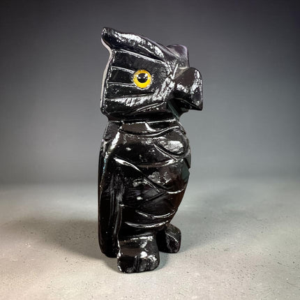 Black Calcite owl carving polished crystal figure for grounding protection and spiritual insight Raven’s Cauldron, 6 N Sandusky St, Delaware, OH 43015