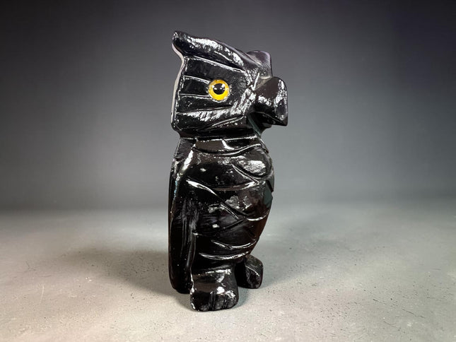 Black Calcite owl carving polished crystal figure for grounding protection and spiritual insight Raven’s Cauldron, 6 N Sandusky St, Delaware, OH 43015