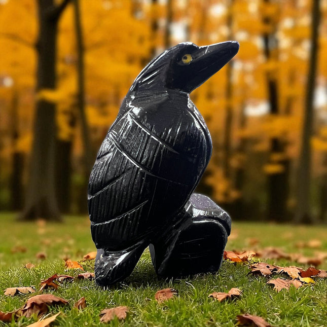 Black Calcite Raven, Raven's Cauldron, 6 N. Sandusky St, Delaware, OH 43015