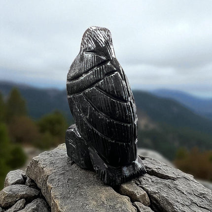 Black Calcite Raven, Raven's Cauldron, 6 N. Sandusky St, Delaware, OH 43015