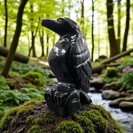 Black Calcite Raven, Raven's Cauldron, 6 N. Sandusky St, Delaware, OH 43015