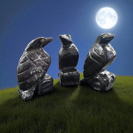 Black Calcite Raven, Raven's Cauldron, 6 N. Sandusky St, Delaware, OH 43015