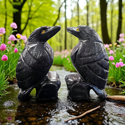 Black Calcite Raven, Raven's Cauldron, 6 N. Sandusky St, Delaware, OH 43015