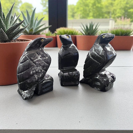 Black Calcite Raven, Raven's Cauldron, 6 N. Sandusky St, Delaware, OH 43015