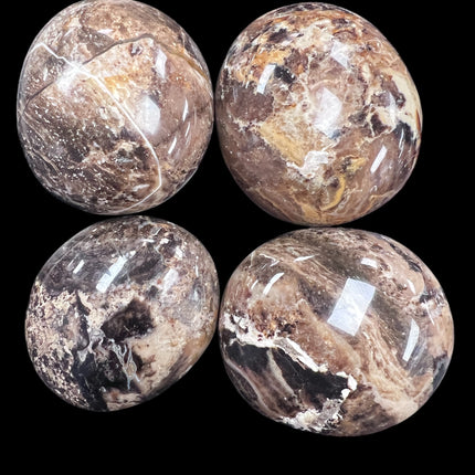 Black Opal Palm Stones Ravens_Cauldron_6_N Sandusky_St _Delaware_OH _43015