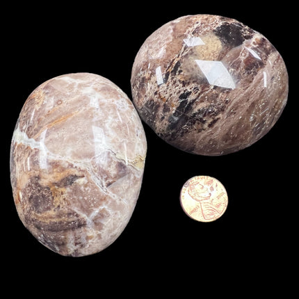 Black Opal Palm Stones Ravens_Cauldron_6_N Sandusky_St _Delaware_OH _43015