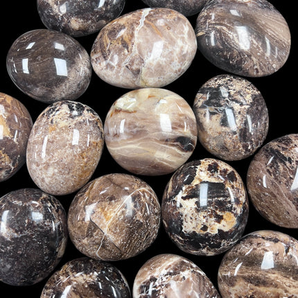 Black Opal Palm Stones Ravens_Cauldron_6_N Sandusky_St _Delaware_OH _43015