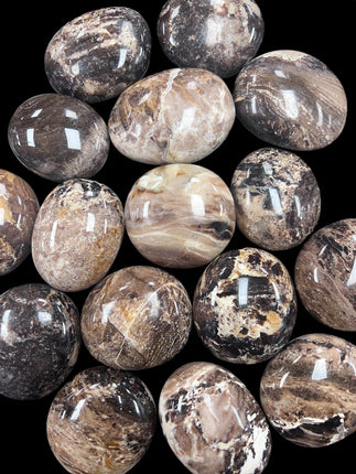 Black Opal Palm Stones Ravens_Cauldron_6_N Sandusky_St _Delaware_OH _43015