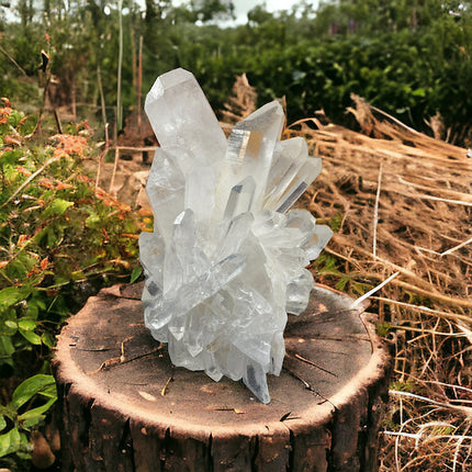 Brazilian Quartz Cluster - 8.7 Pounds with Lemurian Points - Raven's Cauldron