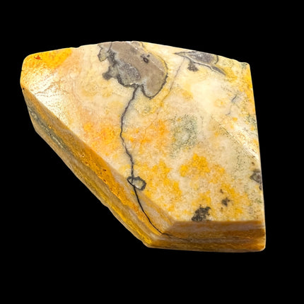 bumblebee jasper specimen.  Raven's Cauldron, 6 N Sandusky St, Delaware, OH 43015
