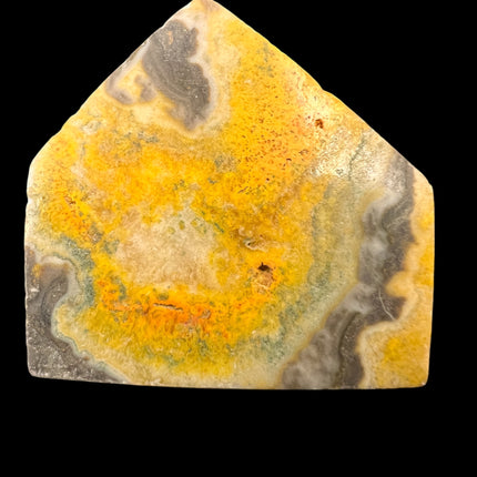 bumblebee jasper specimen.  Raven's Cauldron, 6 N Sandusky St, Delaware, OH 43015