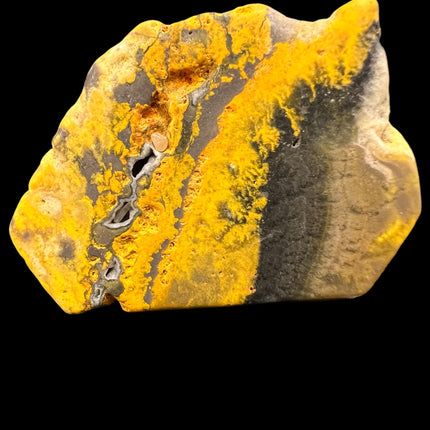 bumblebee jasper specimen.  Raven's Cauldron, 6 N Sandusky St, Delaware, OH 43015