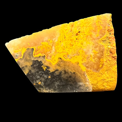 bumblebee jasper specimen.  Raven's Cauldron, 6 N Sandusky St, Delaware, OH 43015