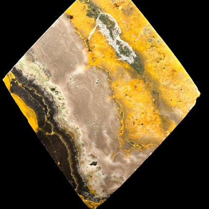 bumblebee jasper specimen.  Raven's Cauldron, 6 N Sandusky St, Delaware, OH 43015