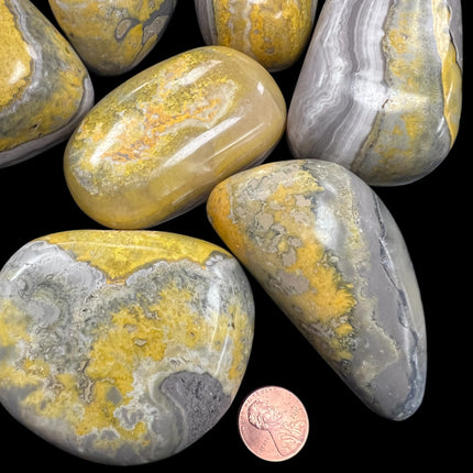 Bumblebee Jasper Palm Stones, Raven's Cauldron, 6 N Sandusky St, Delaware, OH 43015