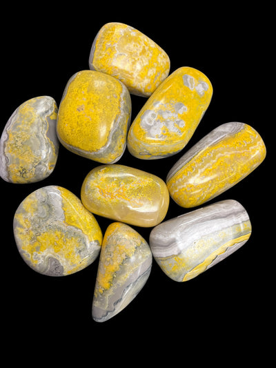 Bumblebee Jasper Palm Stone – Rare Transformation Crystal for Energy, Courage & Creativity | 127-270g