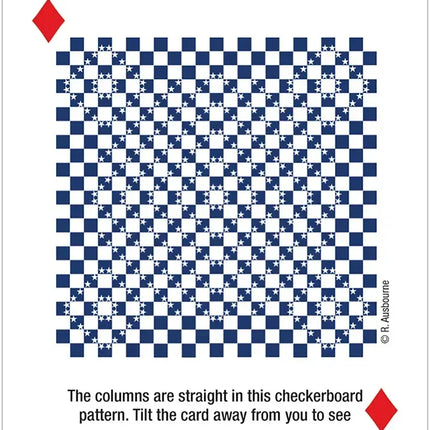 Illusions & Visual Oddities Playing Cards Deck II from Raven's Cauldron, 6 N Sandusky St, Delaware, OH 43015