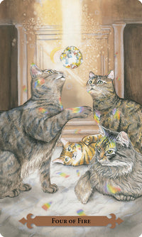 Mystical Cats Tarot deck box and cards with feline artwork Raven’s Cauldron, Delaware, OH